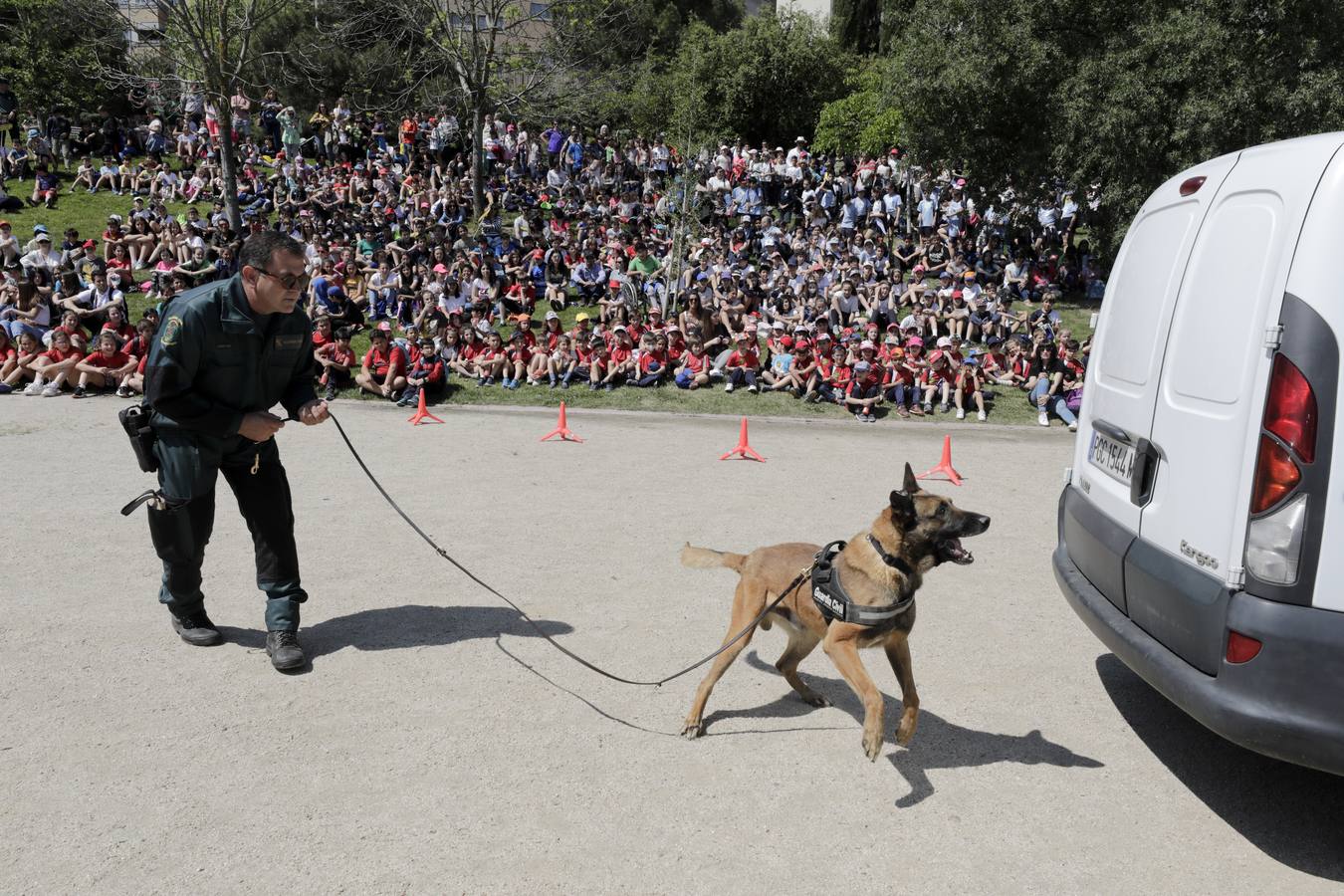 El parque del Rodeo fue el escenario de varias exhibiciones y una exposición de material realizadas ayer por la Guardia Civil de Cáceres con motivo de 175 aniversario de la fundación del cuerpo. Por la mañana acudieron más de un millar de alumnos de centros escolares de Cáceres, Navas del Madroño, Serradilla y Malpartida de Cáceres, y por la tarde las exhibiciones de las distintas unidades de la Guardia Civil estuvieron abiertas al público en general.