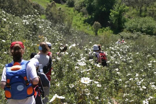 Participantes en la ruta, rodeados de jaras. :: m. t. g.