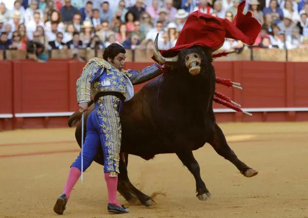 El diestro Morante de la Puebla durante la faena con la muleta a su segundo toro. :: efe