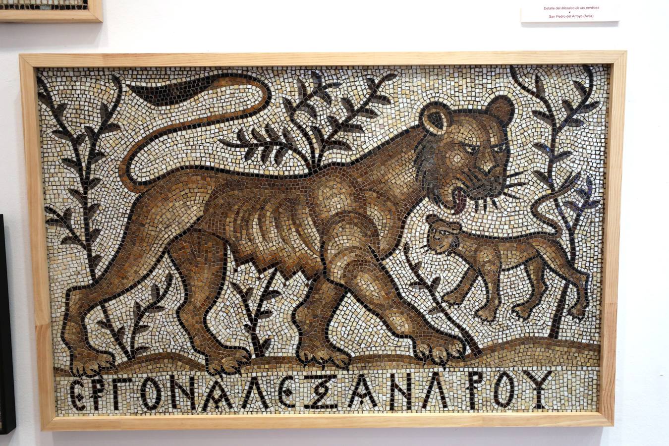 La Escuela de Arte y Superior de Diseño de Mérida abre una muestra en torno a esta disciplina a cargo de Jesús Antonio Martínez Lombó. Desde la Antigüedad a nuestros días, el arte del mosaico se ha empleado en paredes y suelos como una 'pintura en piedra' dedicada a los más nobles asuntos o al mero ornato suntuario», recuerdan desde el Ciclo Superior de Mosaicos con respecto a la exposición que inauguran este viernes 3 de mayo a las 20:00 en la sala de exposiciones de la Escuela de Arte. La muestra podrá verse hasta el 16 de mayo en el horario de mañana, con entrada gratuita.