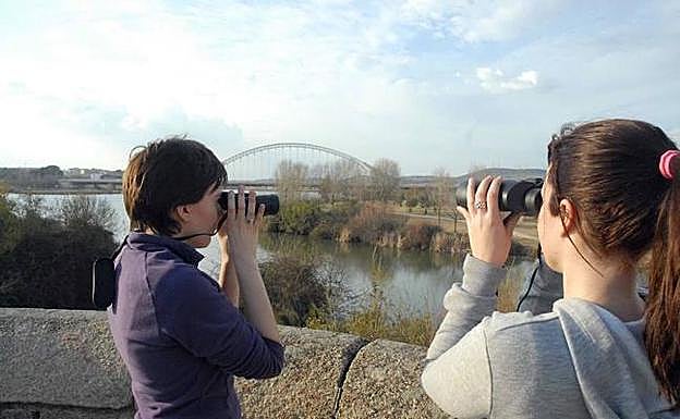 Cuatro colegios participan en los actos del Mes de las Aves
