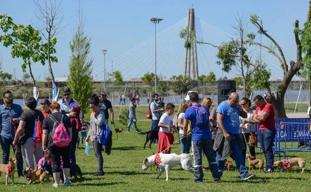 Badajoz celebra el domingo el Día de la Mascota en el parque del Guadiana