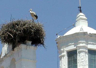 Imagen secundaria 1 - Ana Belén pone en Mérida la banda sonora al fin de semana de los acróbatas, los cosacos y la preferia de Cáceres