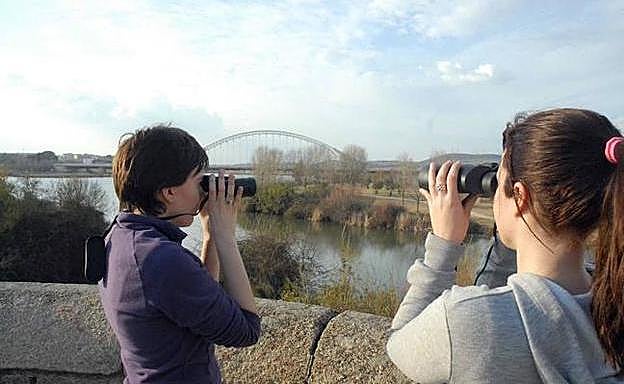 Imagen principal - Ana Belén pone en Mérida la banda sonora al fin de semana de los acróbatas, los cosacos y la preferia de Cáceres