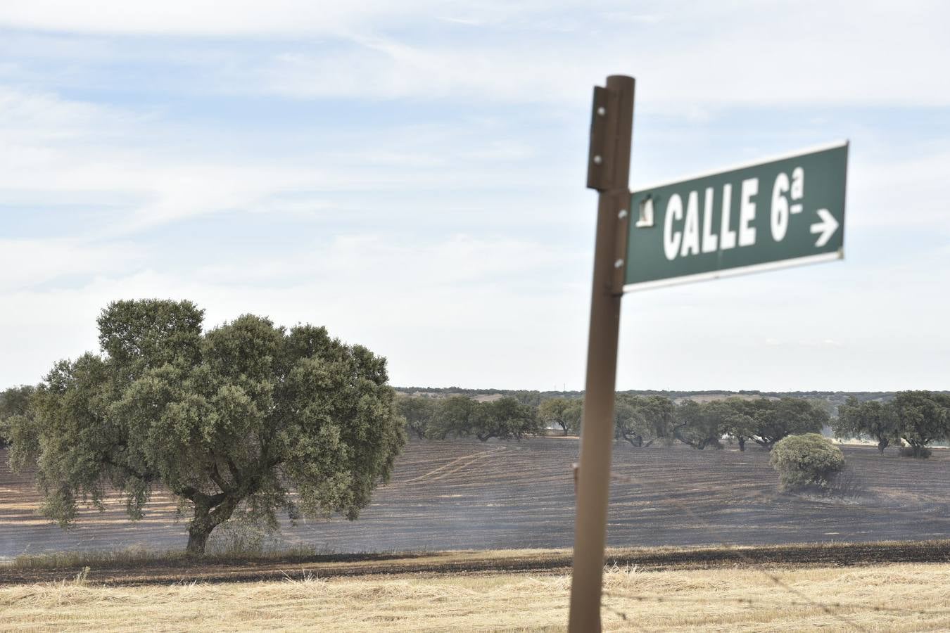 El fuego ha comenzado entre la Dehesilla del Calamón y el antiguo cuartel de Sancha Brava, pero se ha extendido con rapidez debido al viento llegando a aproximarse a algunas casas 