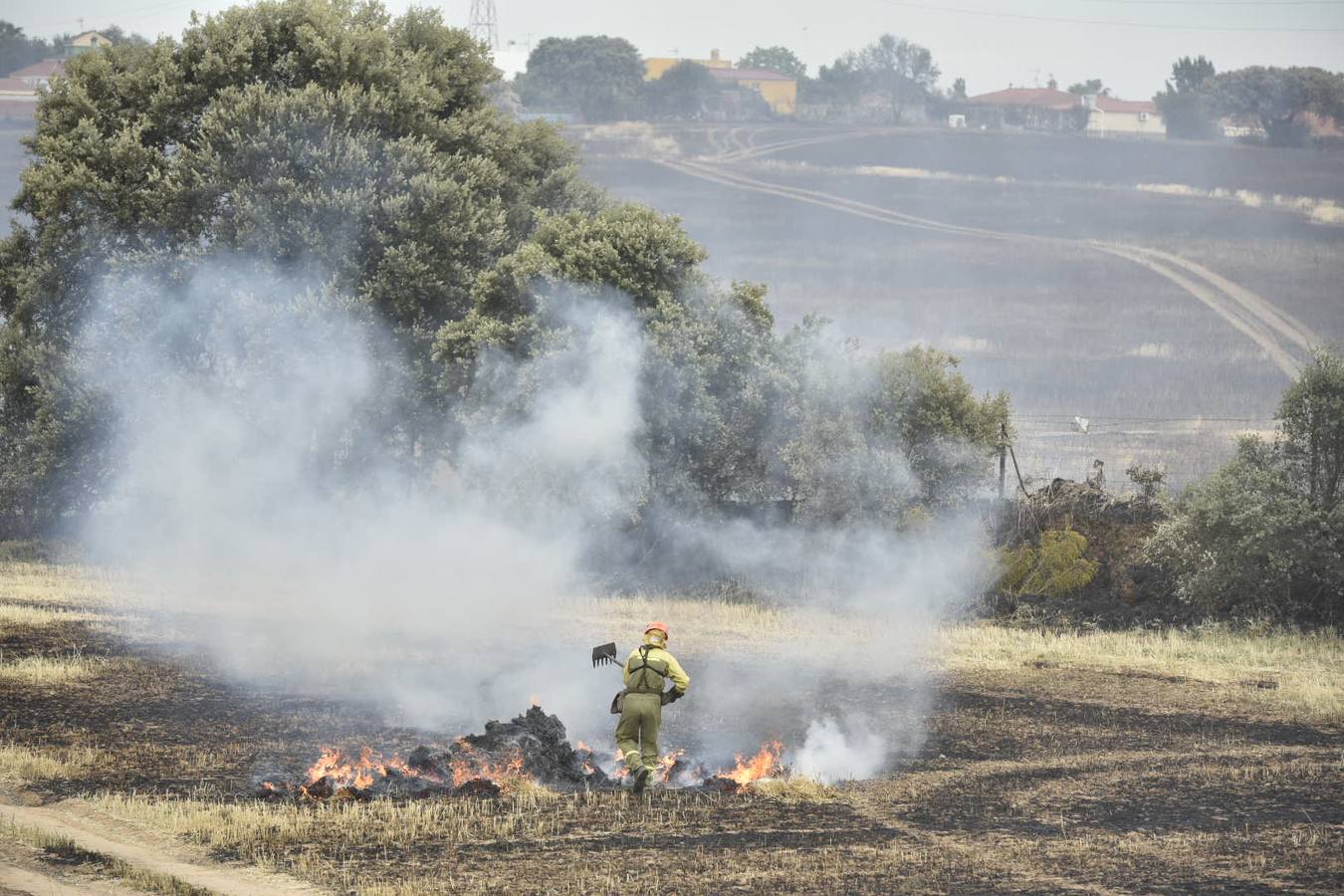 El fuego ha comenzado entre la Dehesilla del Calamón y el antiguo cuartel de Sancha Brava, pero se ha extendido con rapidez debido al viento llegando a aproximarse a algunas casas 