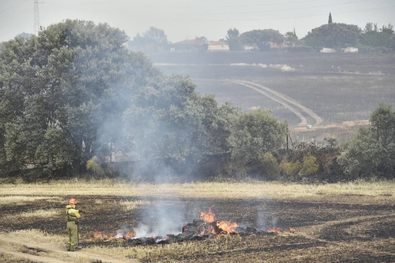 El fuego ha comenzado entre la Dehesilla del Calamón y el antiguo cuartel de Sancha Brava, pero se ha extendido con rapidez debido al viento llegando a aproximarse a algunas casas 