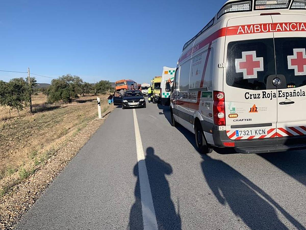 Fotos: El autobús implicado en el accidente registrado cerca de Membrío ha quedado parado en el terraplén junto al arcén