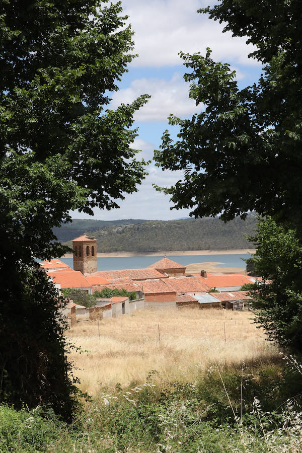 Once pueblos pacenses componen un territorio que goza de una gran variedad de hábitats, que sirven para dar cobijo a diferentes especies de flora y fauna