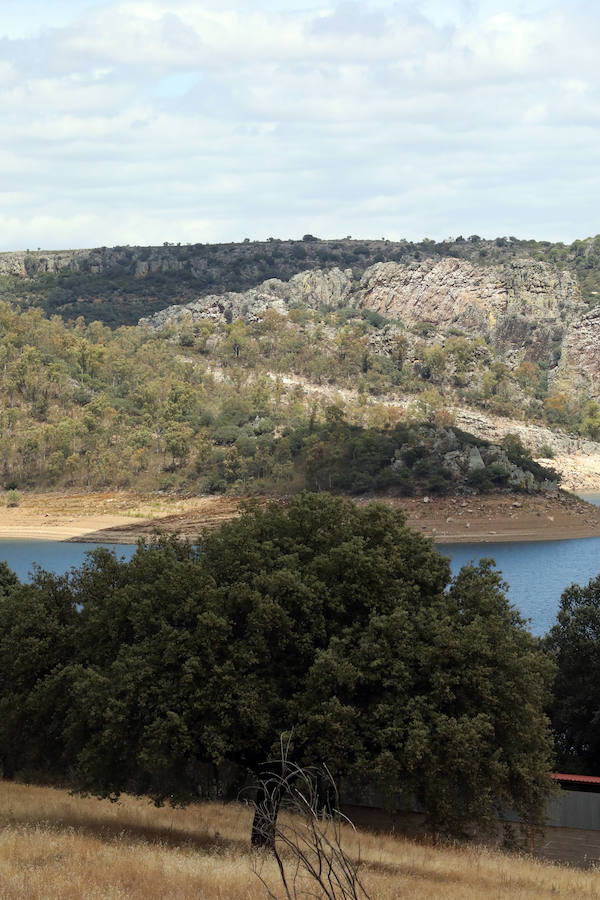 Once pueblos pacenses componen un territorio que goza de una gran variedad de hábitats, que sirven para dar cobijo a diferentes especies de flora y fauna