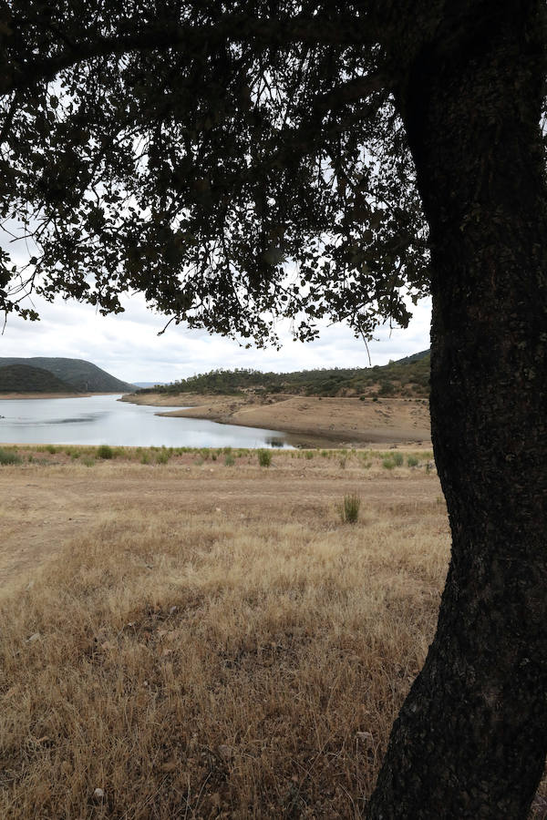 Once pueblos pacenses componen un territorio que goza de una gran variedad de hábitats, que sirven para dar cobijo a diferentes especies de flora y fauna