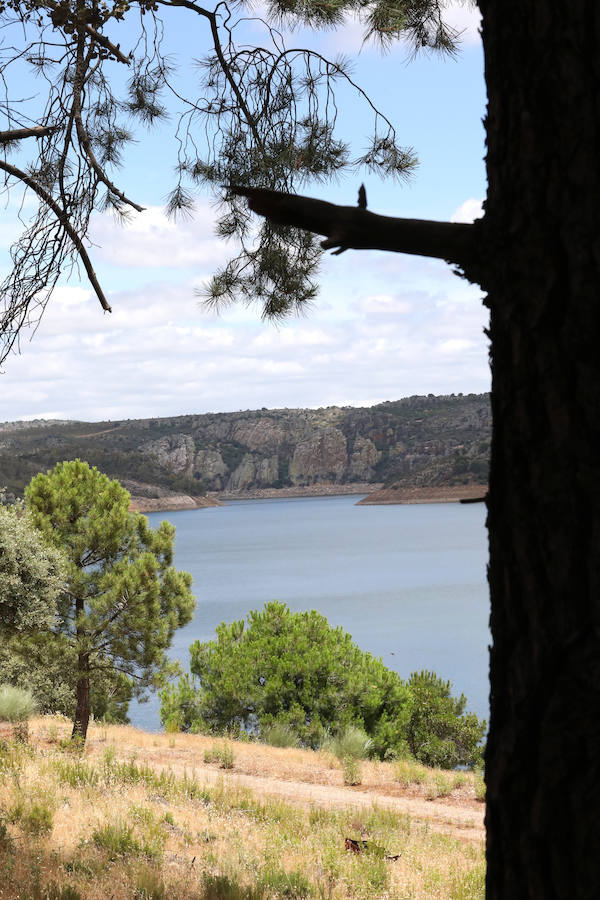 Once pueblos pacenses componen un territorio que goza de una gran variedad de hábitats, que sirven para dar cobijo a diferentes especies de flora y fauna