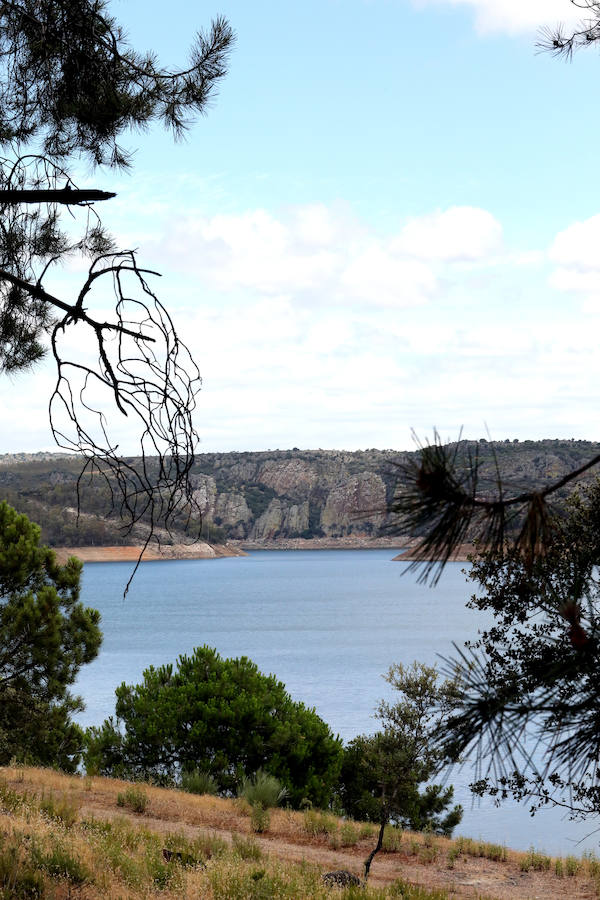 Once pueblos pacenses componen un territorio que goza de una gran variedad de hábitats, que sirven para dar cobijo a diferentes especies de flora y fauna