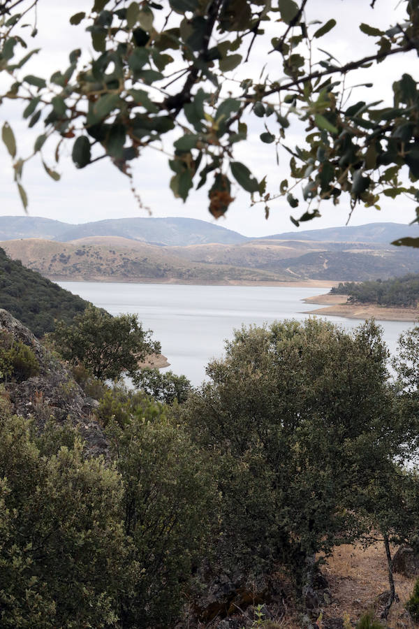 Once pueblos pacenses componen un territorio que goza de una gran variedad de hábitats, que sirven para dar cobijo a diferentes especies de flora y fauna