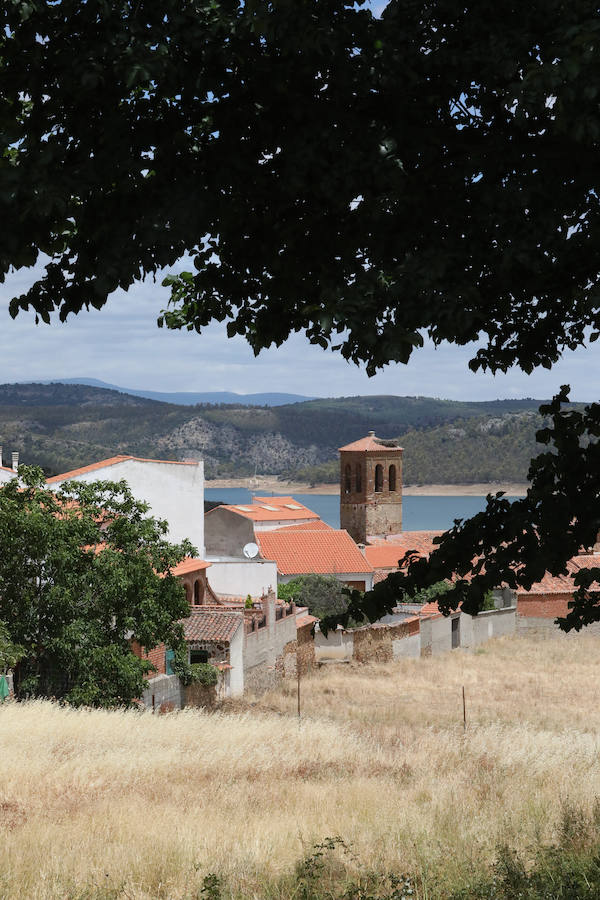 Once pueblos pacenses componen un territorio que goza de una gran variedad de hábitats, que sirven para dar cobijo a diferentes especies de flora y fauna