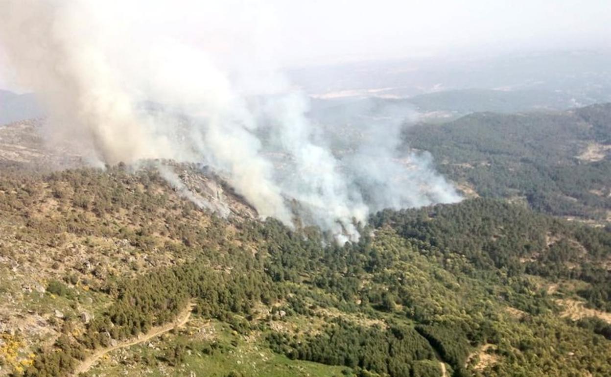 Incendio forestal de El Arenal