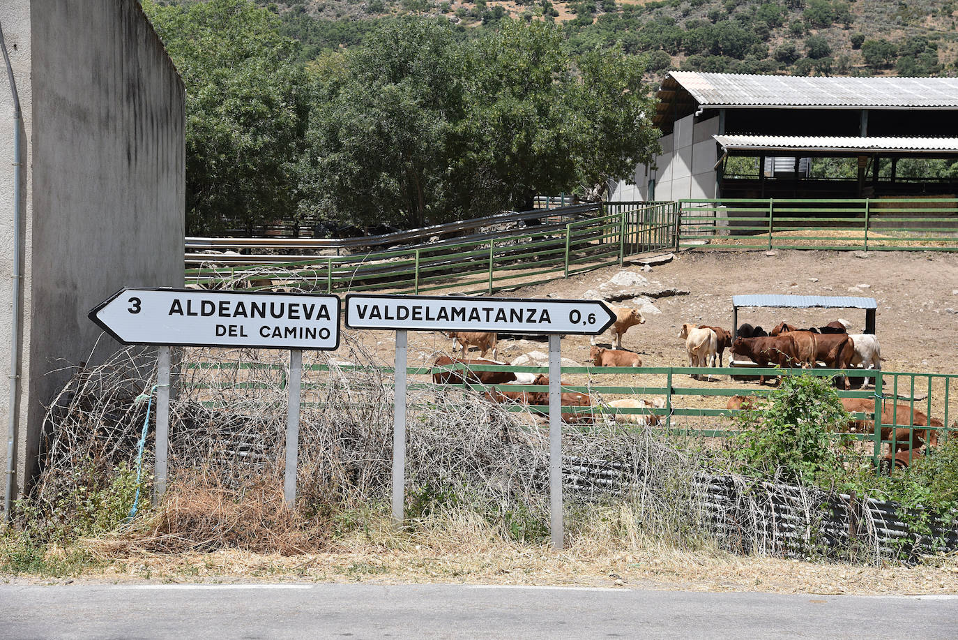 Valdelamatanza (157 vecinos) está al sur de la provincia de Salamanca, casi tocando a la de Cáceres. La localidad más cercana es extremeña, Aldeanueva del Camino, a tres kilómetros. 