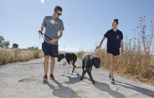 Inma Pérez y Joaquín Corbacho pasean dos veces por semana a perros del Refugio. :: armando méndez 