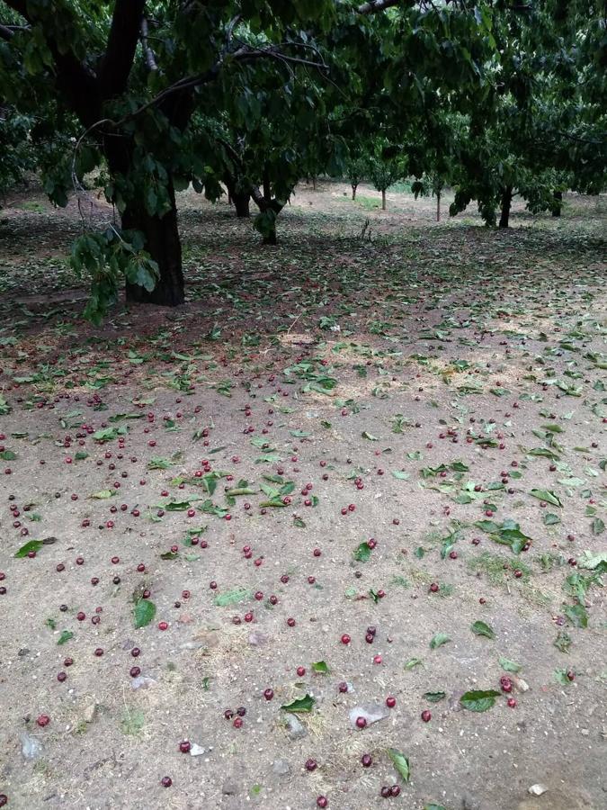Fotos: Granizada en Tornavacas