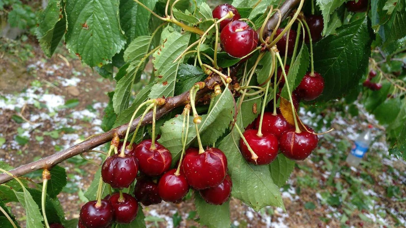 Fotos: Granizada en Tornavacas