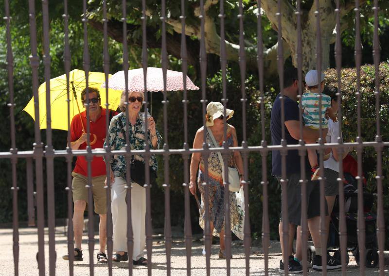 Fotos: El verano deja máximas que rozan los 42 grados
