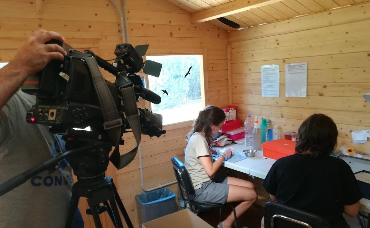 Imagen de archivo de Amus donde se realiza una acción de ceba. 