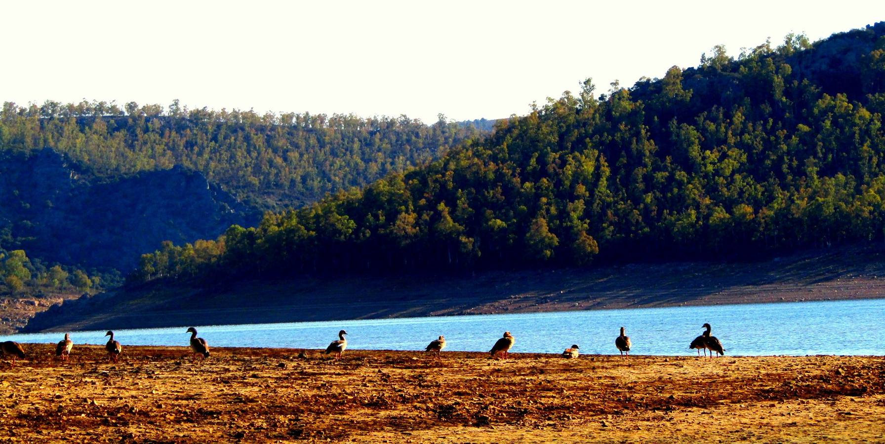 Fotos: Entorno de la Reserva Regional del Cijara