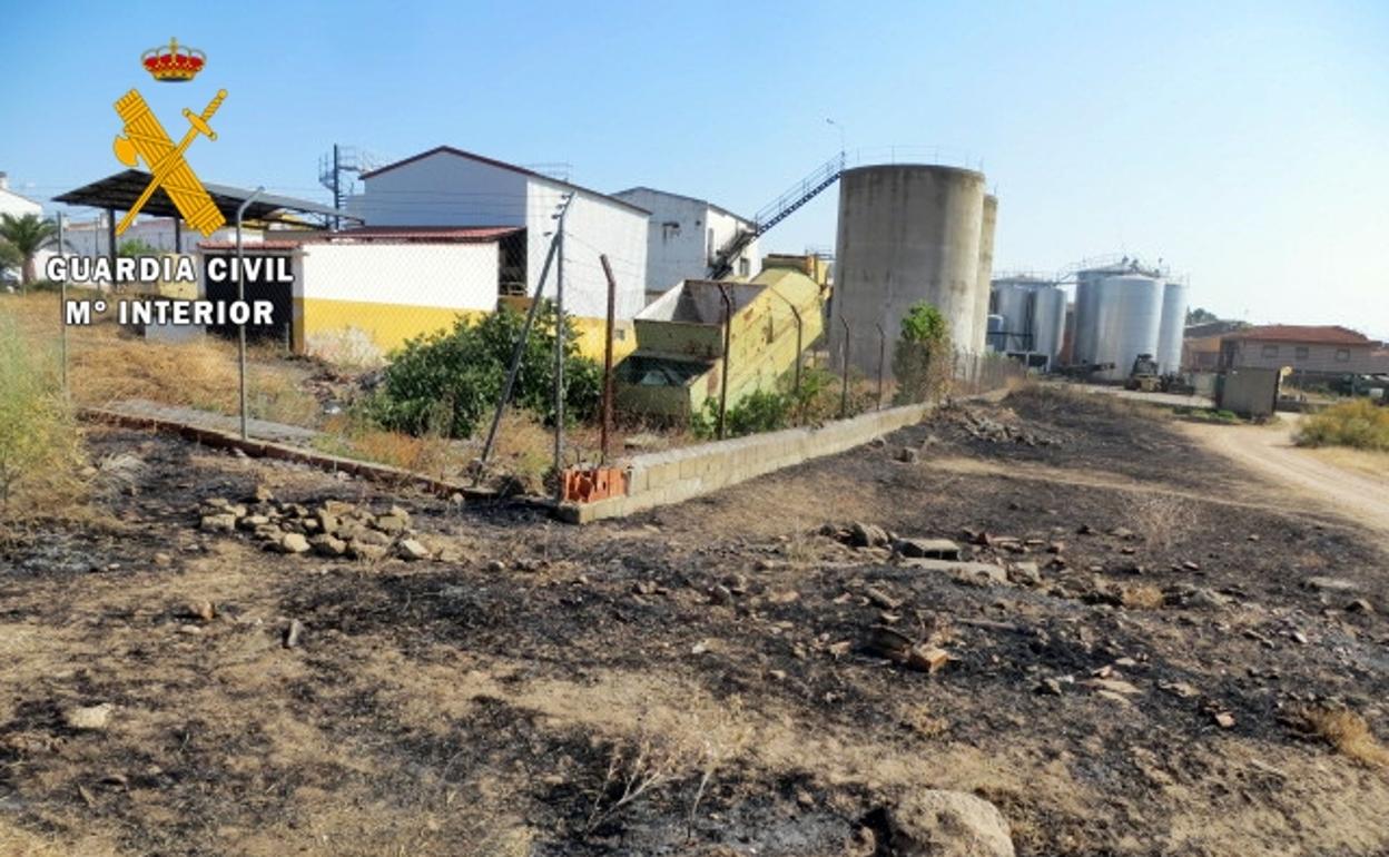 Los incendios calcinaron unos 400 metros de pasto