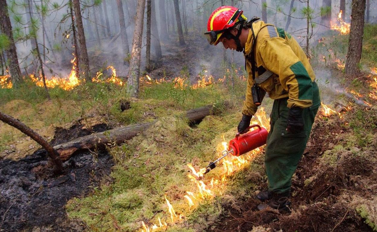 Un bombero en tareas de extinción. 