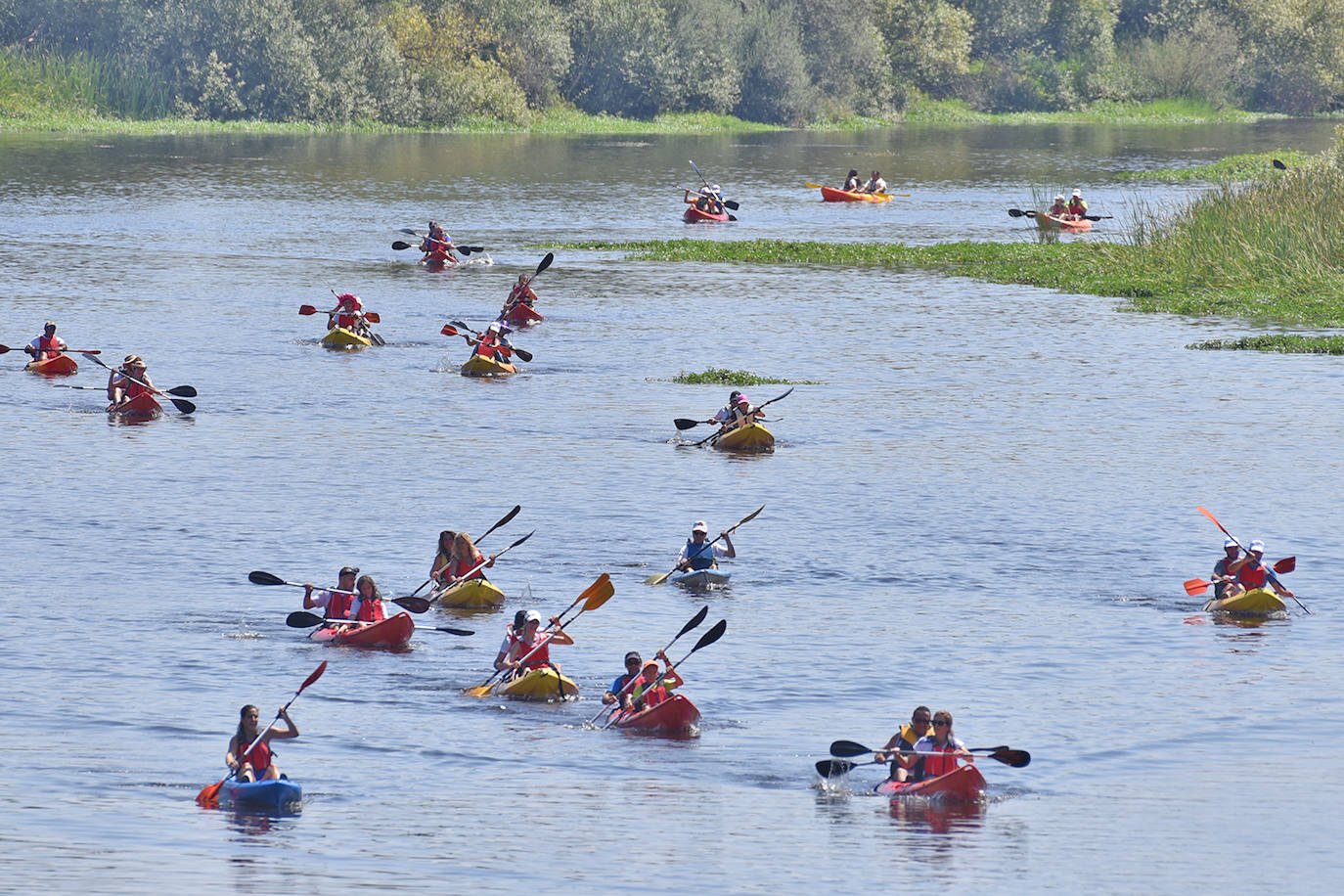 Coria ha acogido este domingo 4 de agosto el duodécimo descenso del río Alagón 'Puente de la Macarrona-Puente de Hierro', un evento que aúna deporte, turismo y naturaleza, y con el que el Ayuntamiento de la localidad pretende reivindicar un río más limpio y cuidado.