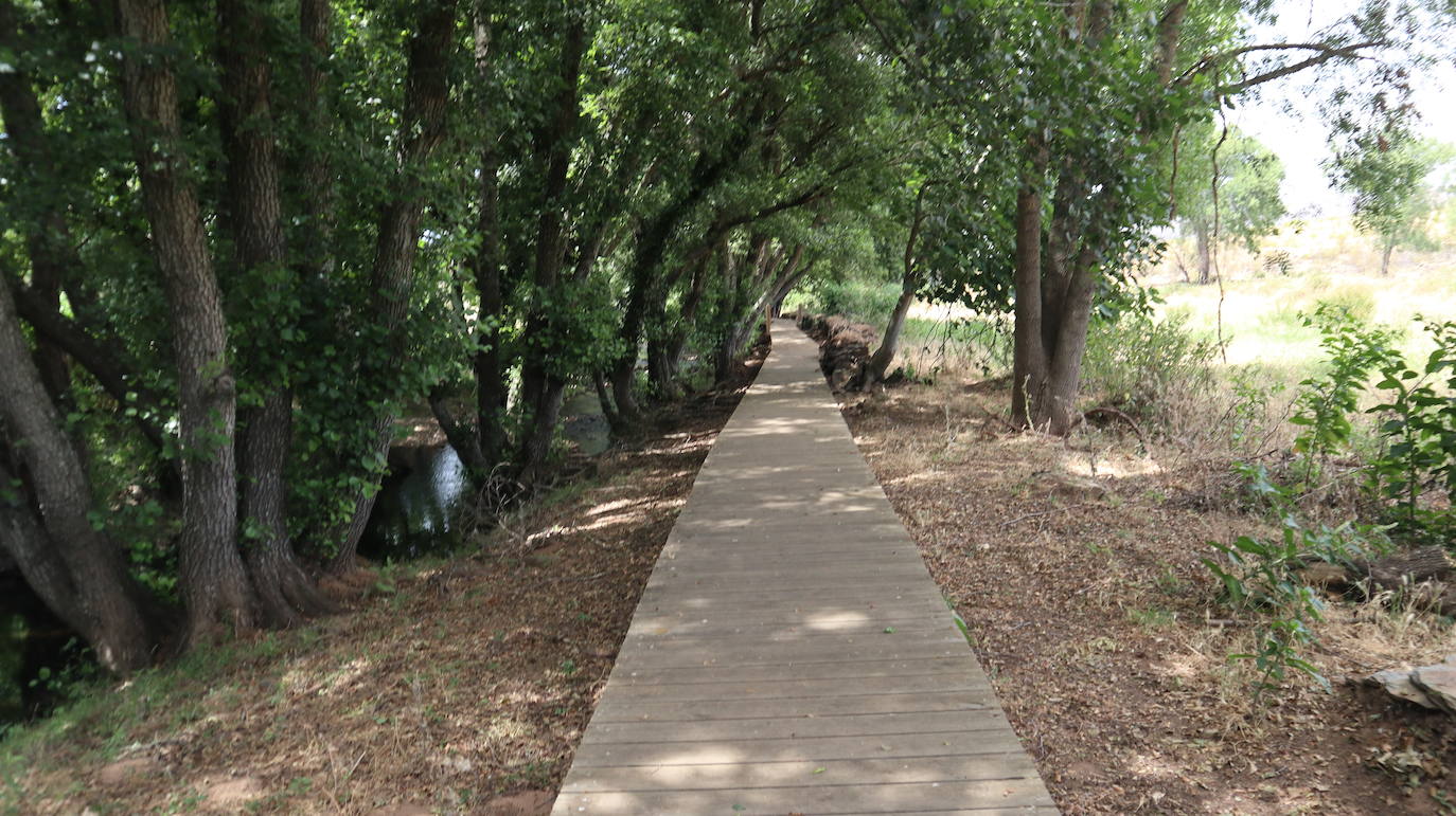 Fotos: La Codosera: una playa junto a un bosque