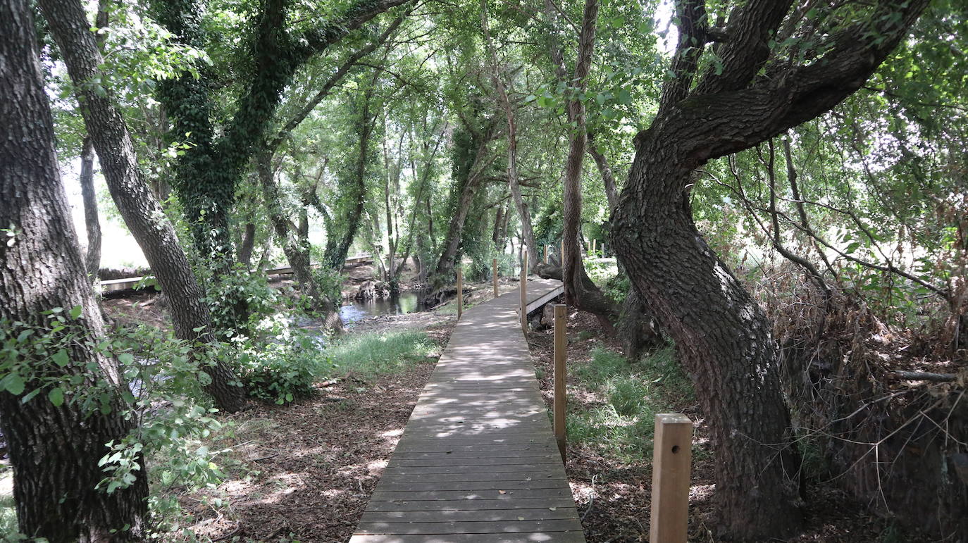 Fotos: La Codosera: una playa junto a un bosque