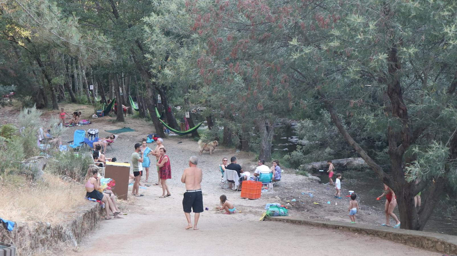 Hay una zona para llevar perrros y hamacas repartidas a lo largo del río.