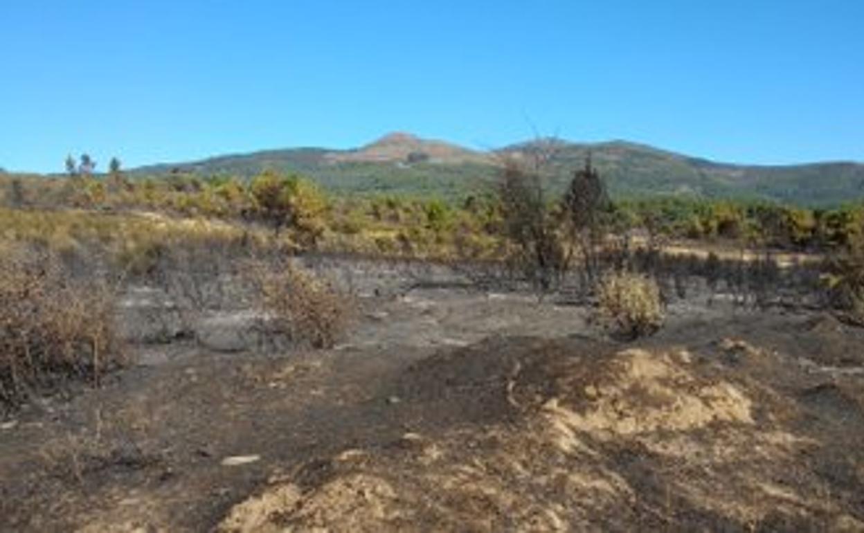 Así se veía est mañana la zona afectada por el incendio
