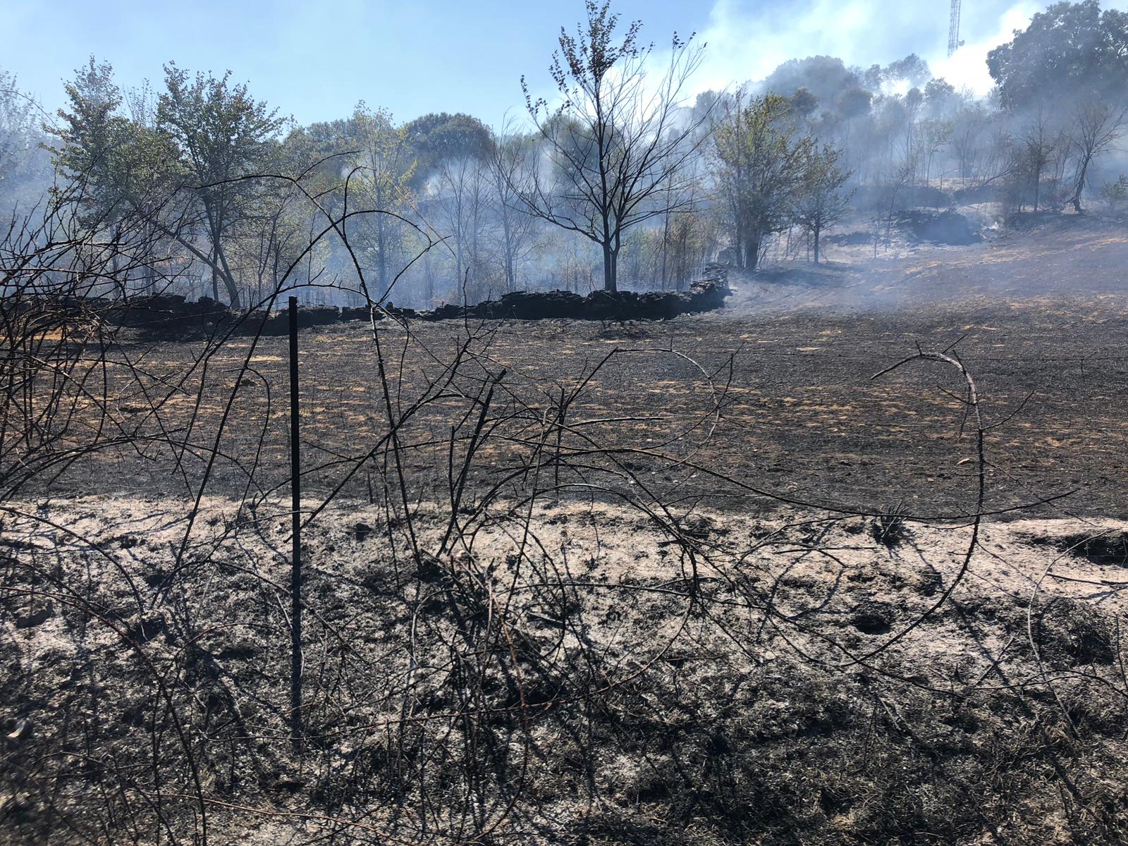 Fotos: Imágenes del incendio registrado en la localidad cacereña de Calzadilla