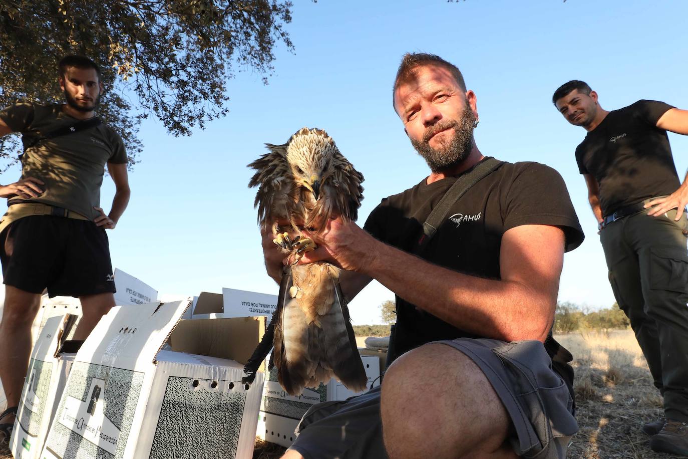 Fotos: Aves que emprenden de nuevo el vuelo