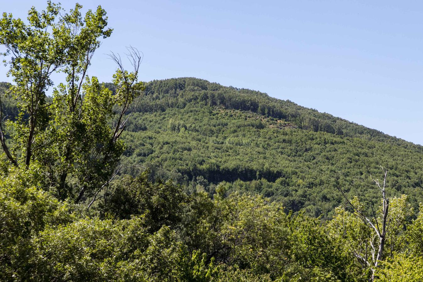 Fuente de San Gregorio, en mitad del castañar, al inicio de la subida al puerto de Honduras desde Hervás.