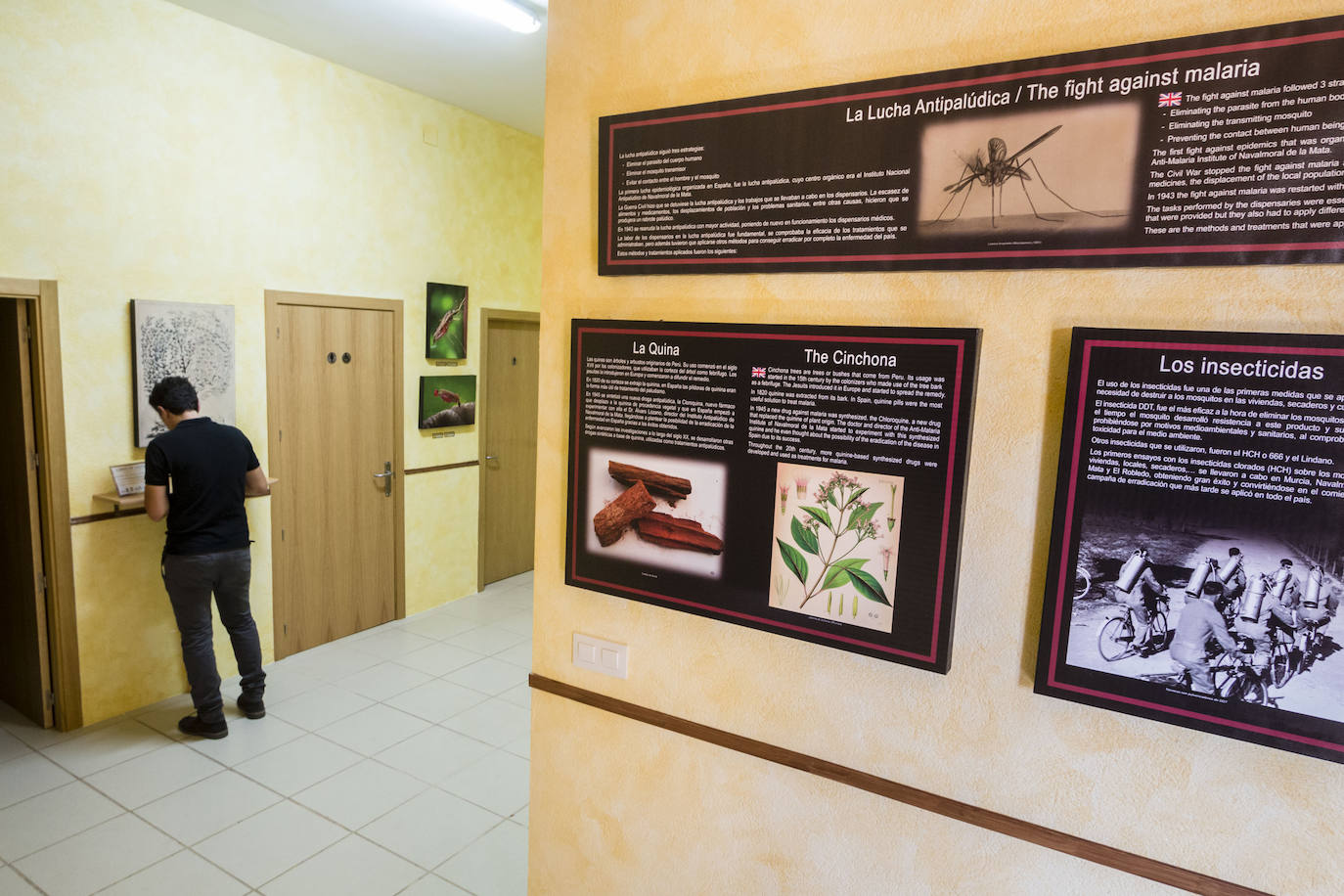 El espacio, único en el país, está en mitad del campo, a unos ocho kilómetros de la localidad, y ocupa el edificio del antiguo dispensario antipalúdico, construido en 1923 en una zona de cultivos conocida como El Robledo. 