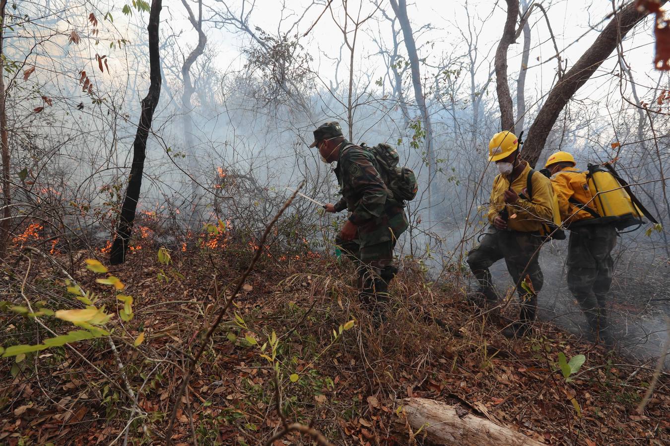 Fotos: Soldados y voluntarios, los héroes que luchan contra el fuego en Bolivia