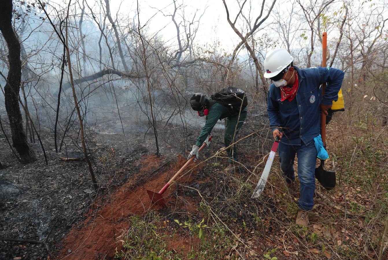 Fotos: Soldados y voluntarios, los héroes que luchan contra el fuego en Bolivia
