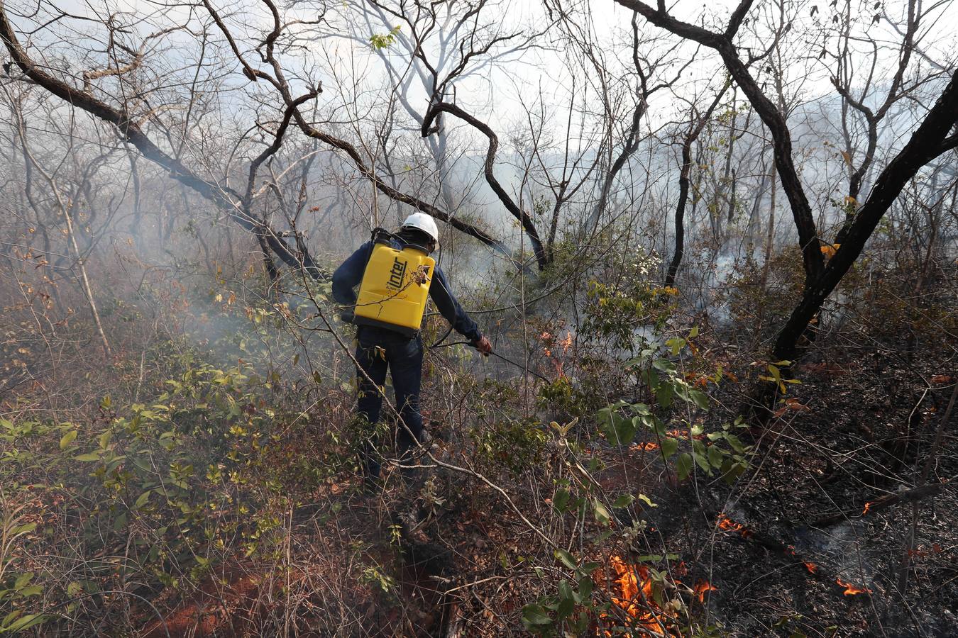 Fotos: Soldados y voluntarios, los héroes que luchan contra el fuego en Bolivia