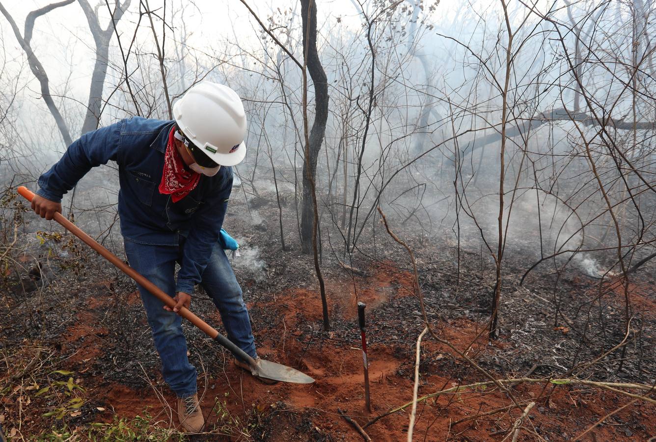 Fotos: Soldados y voluntarios, los héroes que luchan contra el fuego en Bolivia