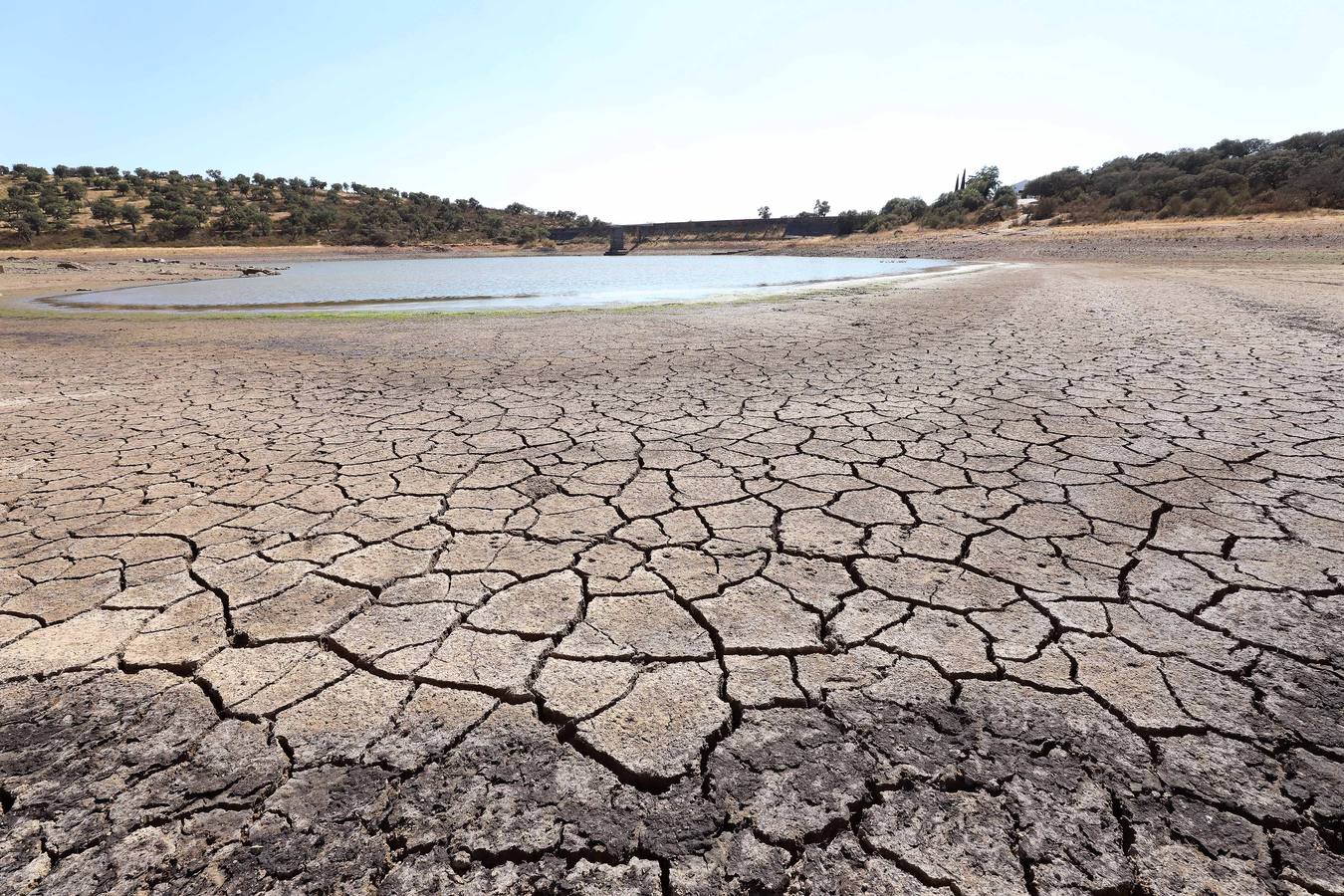 Fotos: Seis pueblos de la comarca de Mérida inician restricciones en el consumo de agua
