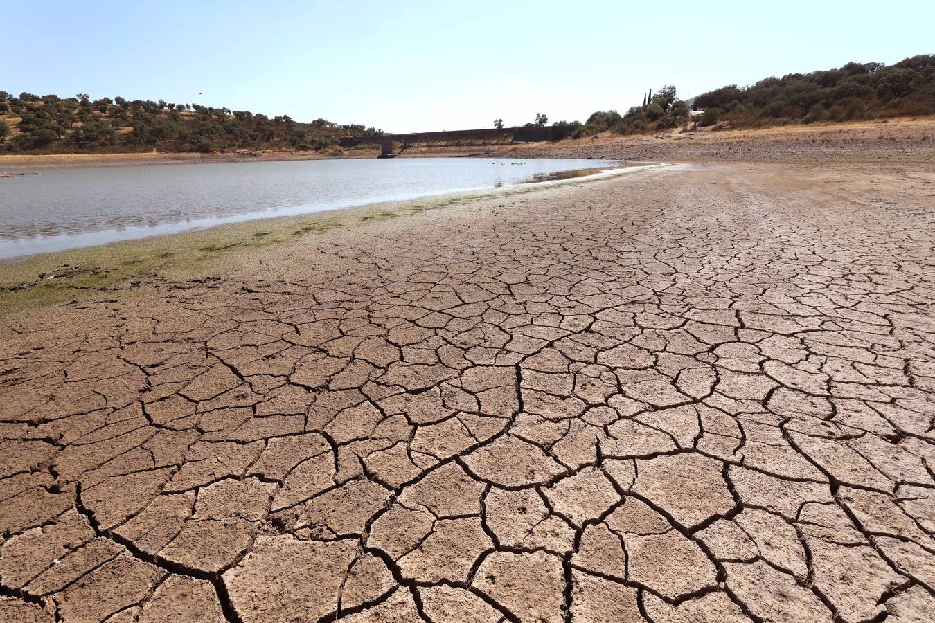 Fotos: Seis pueblos de la comarca de Mérida inician restricciones en el consumo de agua