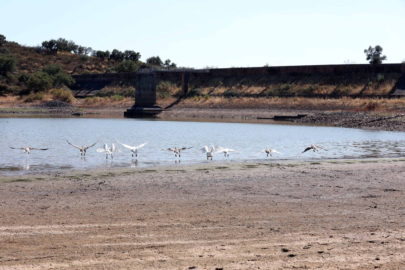 Fotos: Seis pueblos de la comarca de Mérida inician restricciones en el consumo de agua