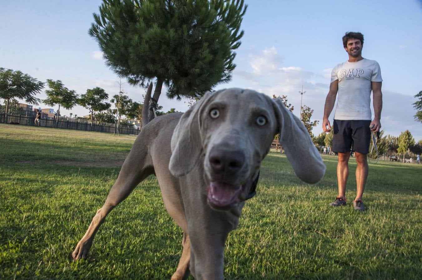 Fotos: El parque donde solo juegan los perros
