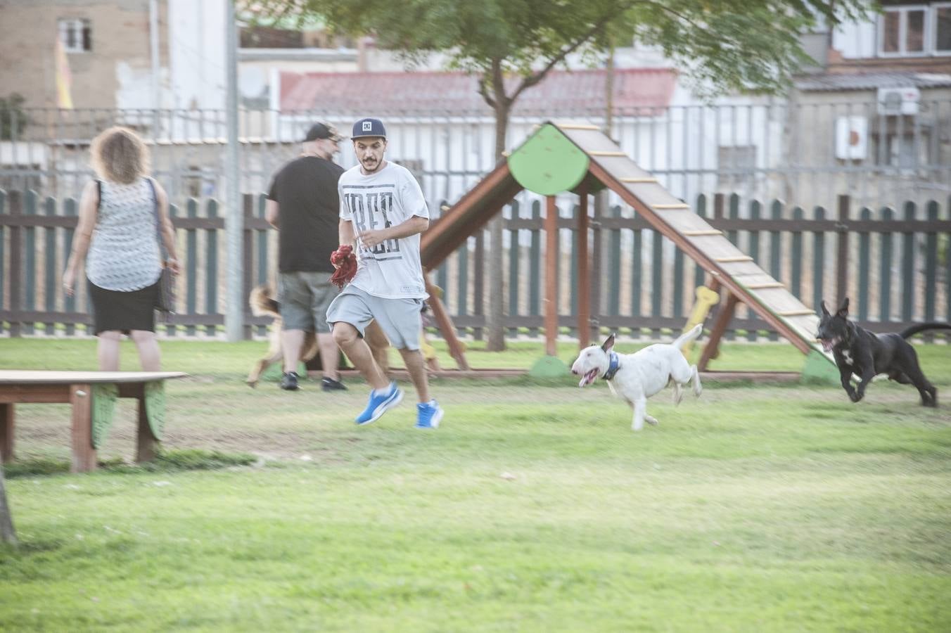 Fotos: El parque donde solo juegan los perros