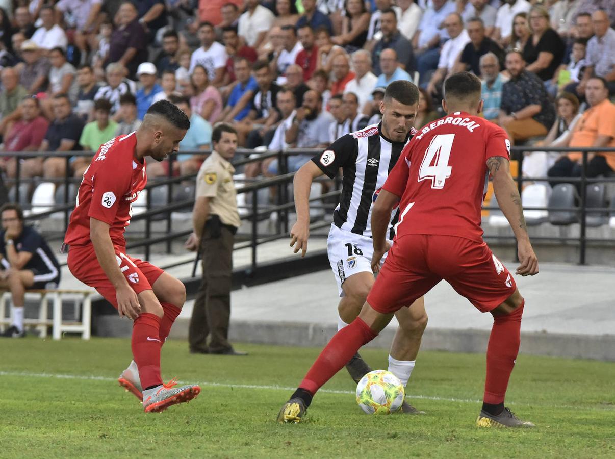 Fotos: El Nuevo Vivero tiene un color especial