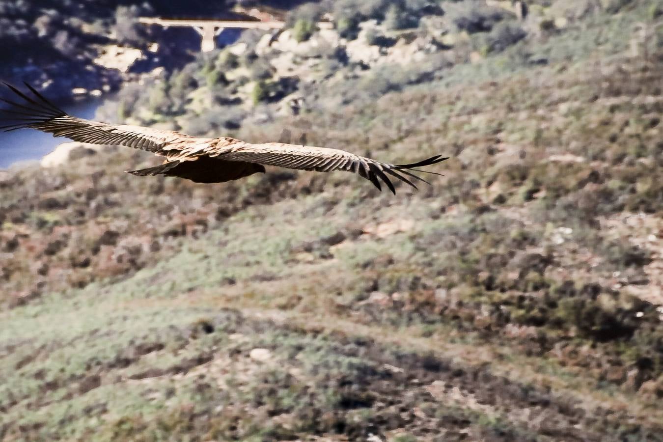 Fotos: Extremadura, 21 miradas