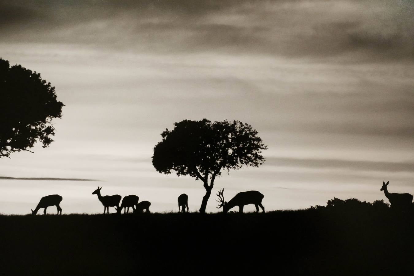 Fotos: Extremadura, 21 miradas